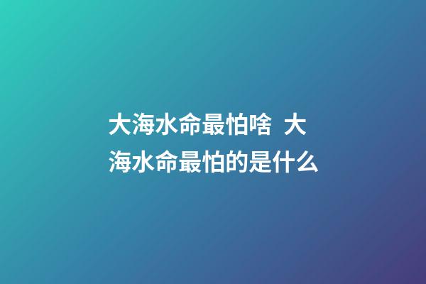 大海水命最怕啥  大海水命最怕的是什么